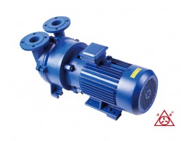 2BV水環(huán)真空泵